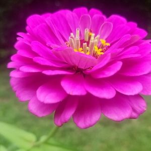 WELCOME! 🌷🌷🌷 Meet your posher!